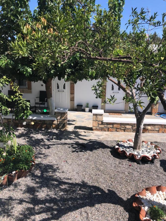 Jimmy, Pilona Village